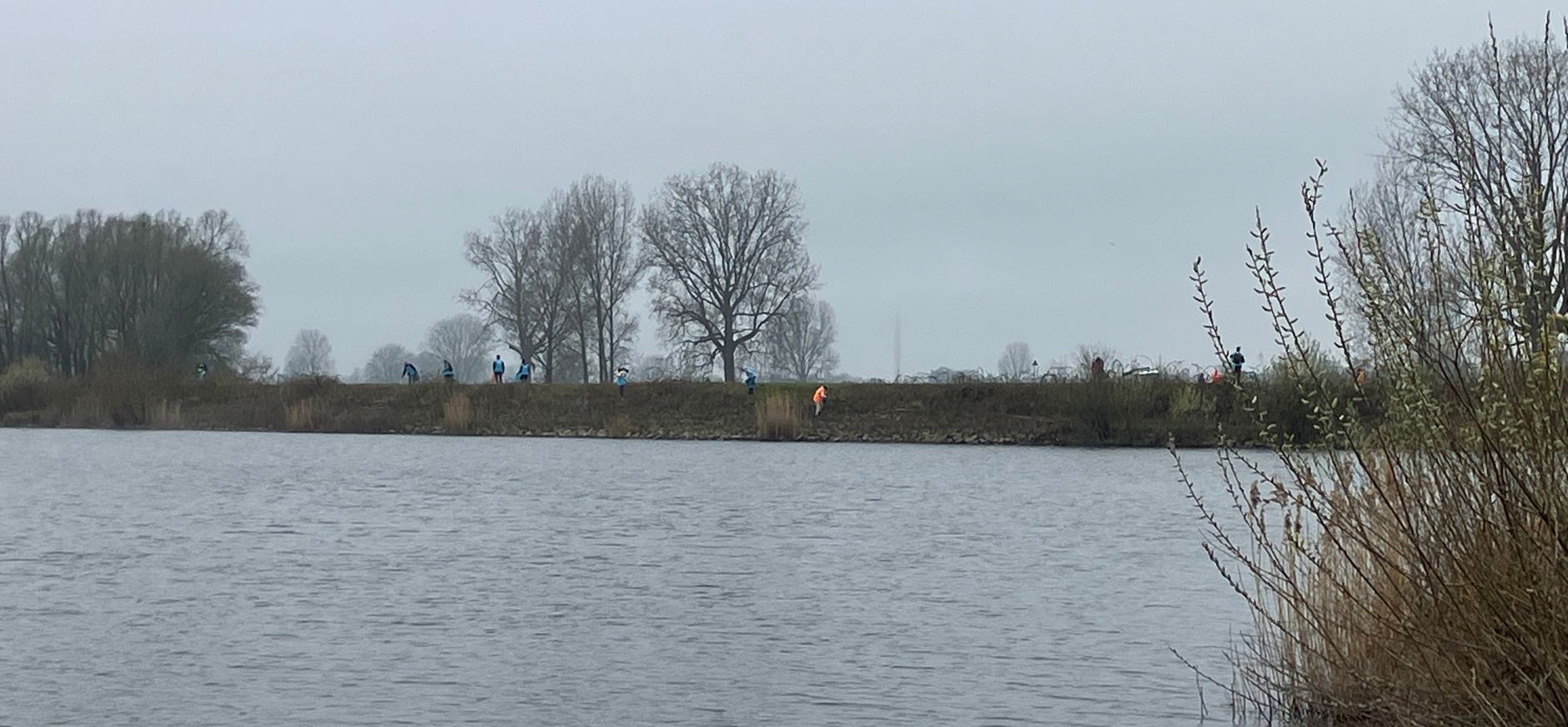 Maas Cleanup Koornwaardse Plas