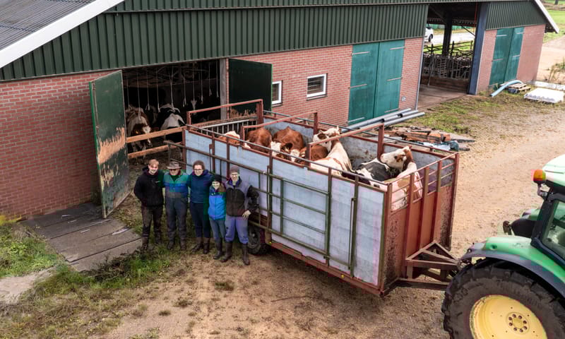 November 2025 verhuisden de biologische melkkoeien van familie Wagenvoort naar de nieuwe locatie November 2025 verhuisden de biologische melkkoeien van familie Wagenvoort naar de nieuwe locatie