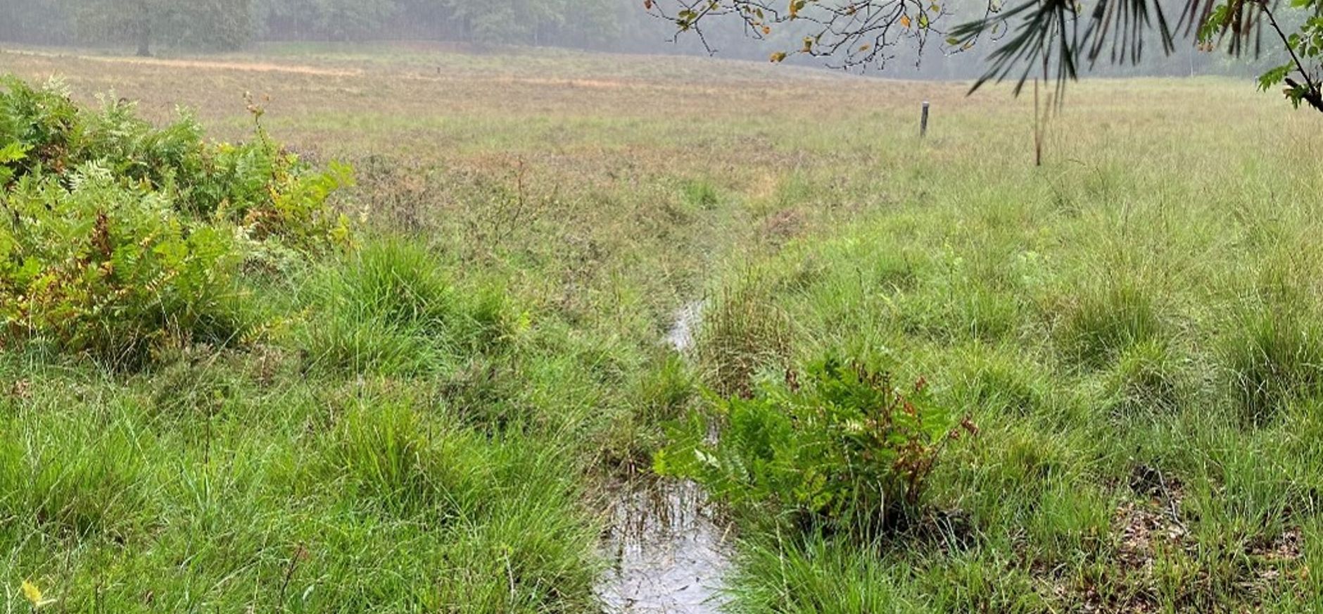 Hellingveen Breukberg