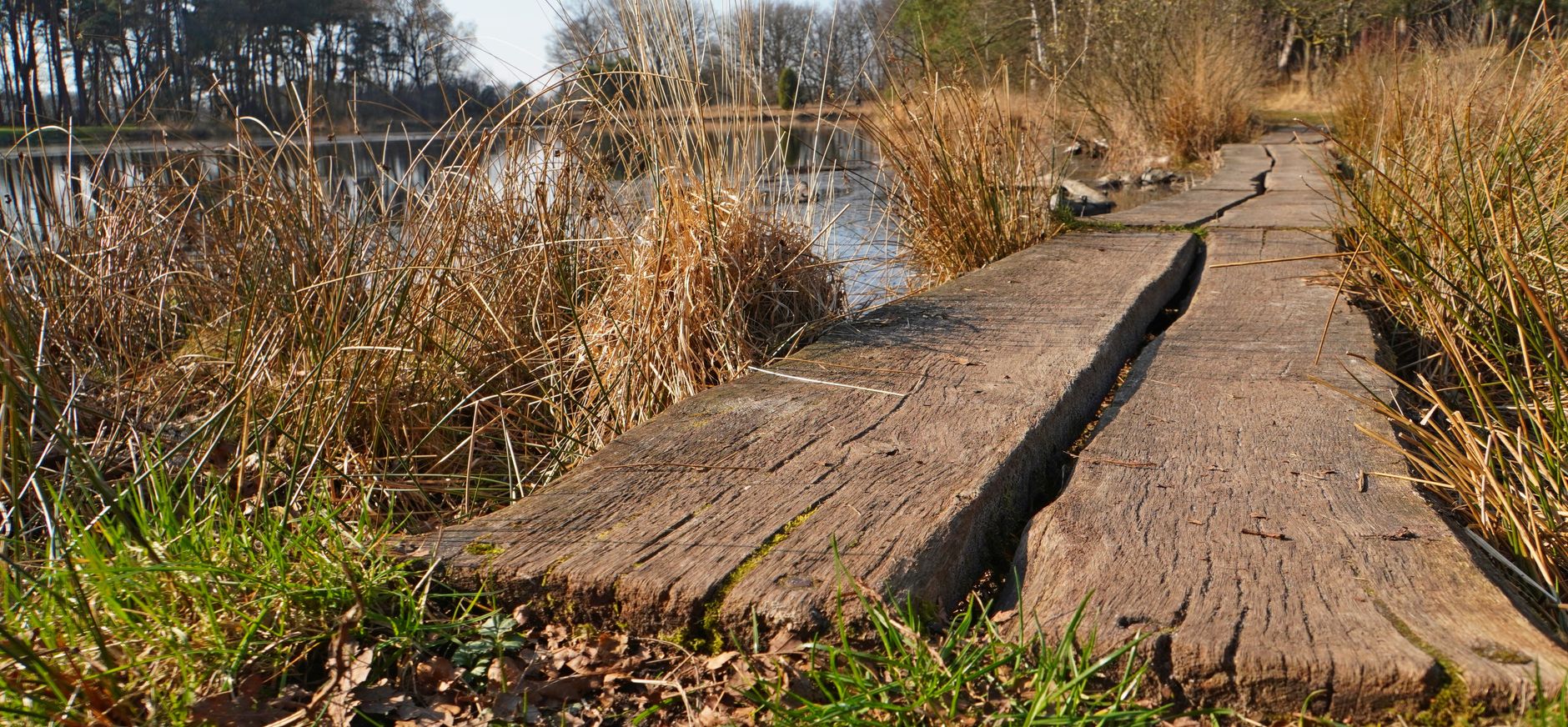 Vlonderpad Buursermeertje
