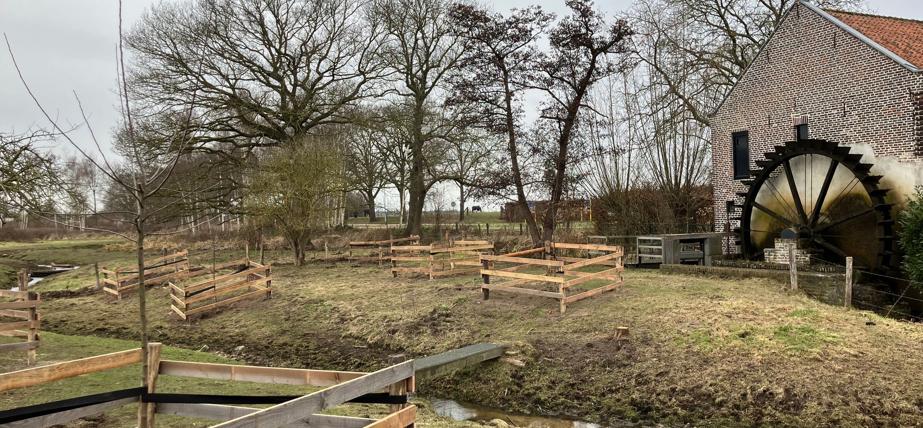 Nieuwe aanplant bij de Schouwsmolen 