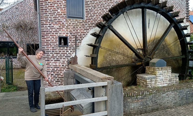 Molenaar Willy bij de Schouwsmolen