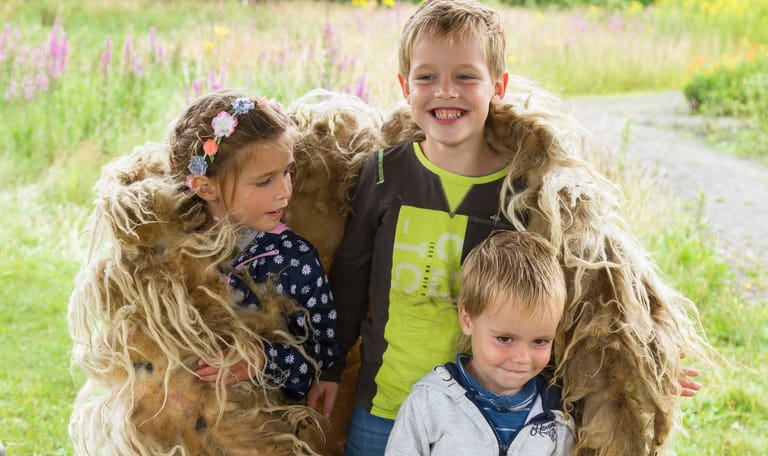 Kinderen in schapenvacht