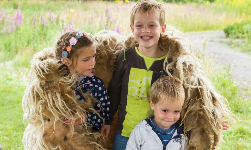 Kinderen in schapenvacht