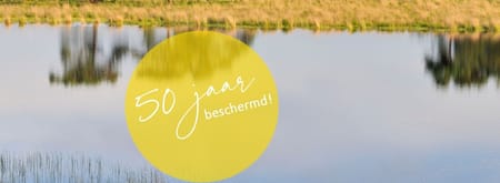 Leikeven