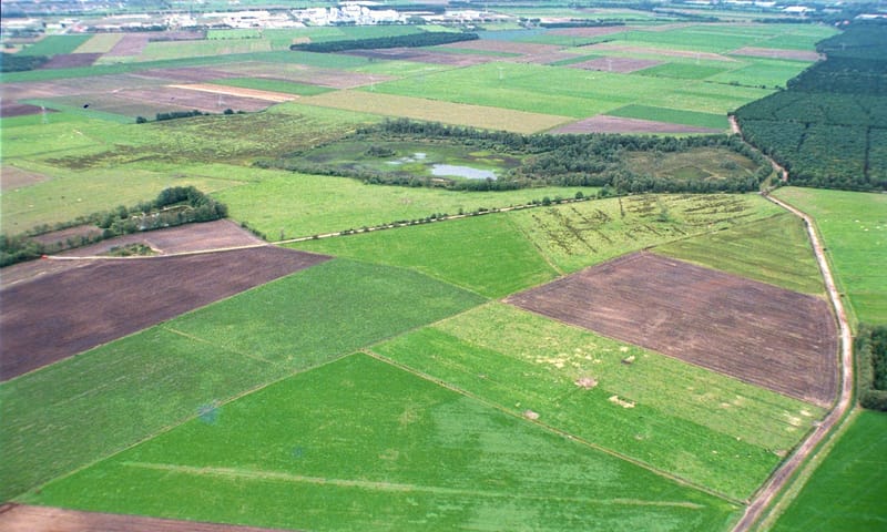 omgeven door landbouwgebied ligt nog een restant van het Leikeven. omgeven door landbouwgebied ligt nog een restant van het Leikeven.