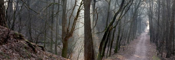 Wandelpad over een stuifheuvel, met de zon die opkomt en mist