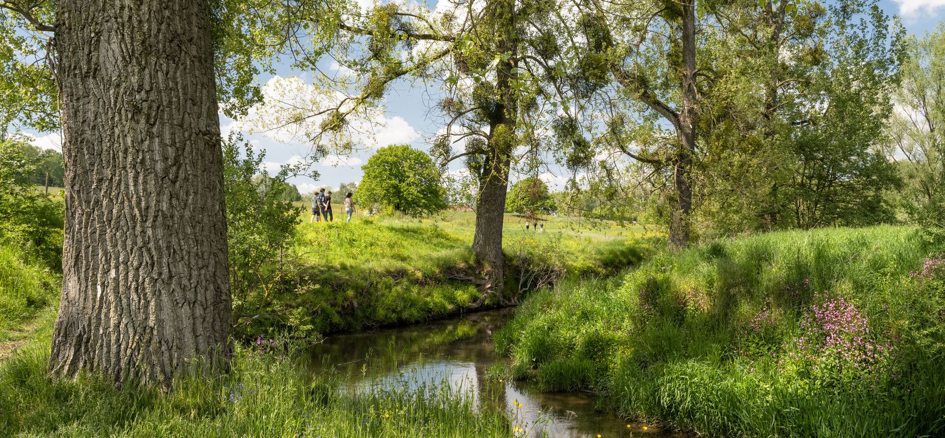 Wandelaars langs de Geul in het Zuid-Limburgse Geuldal Wandelaars langs de Geul in het Zuid-Limburgse Geuldal