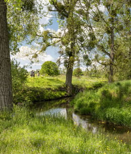 Wandelaars langs de Geul in het Zuid-Limburgse Geuldal