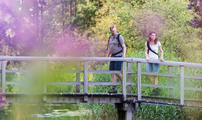 Wandelen rond de Ankeveense Plassen Wandelen rond de Ankeveense Plassen