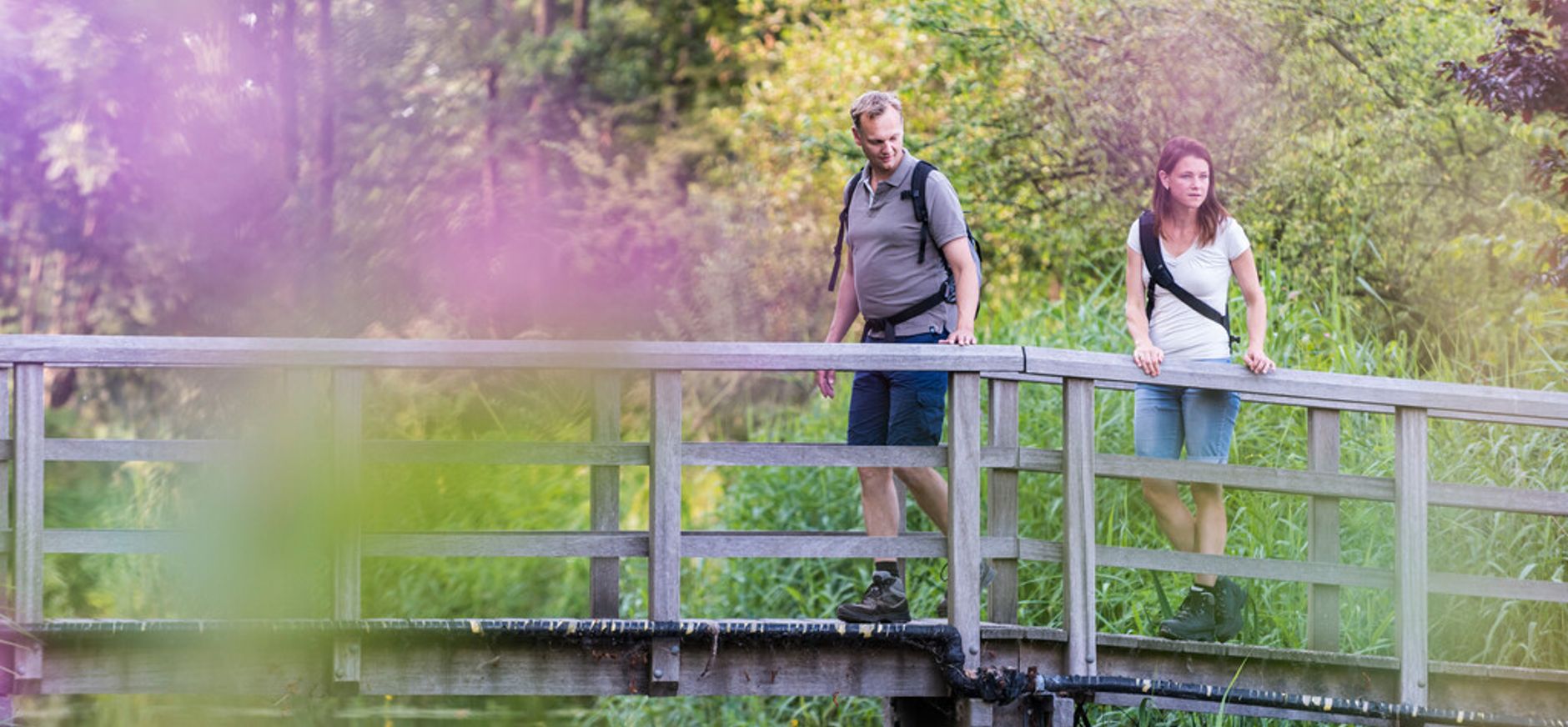 Wandelen rond de Ankeveense Plassen