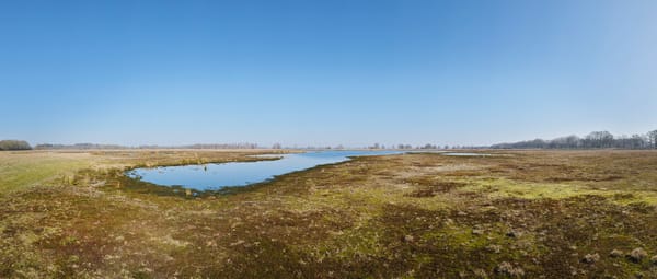 Ven in het Dwingelderveld met uitgestrekt uitzicht. 