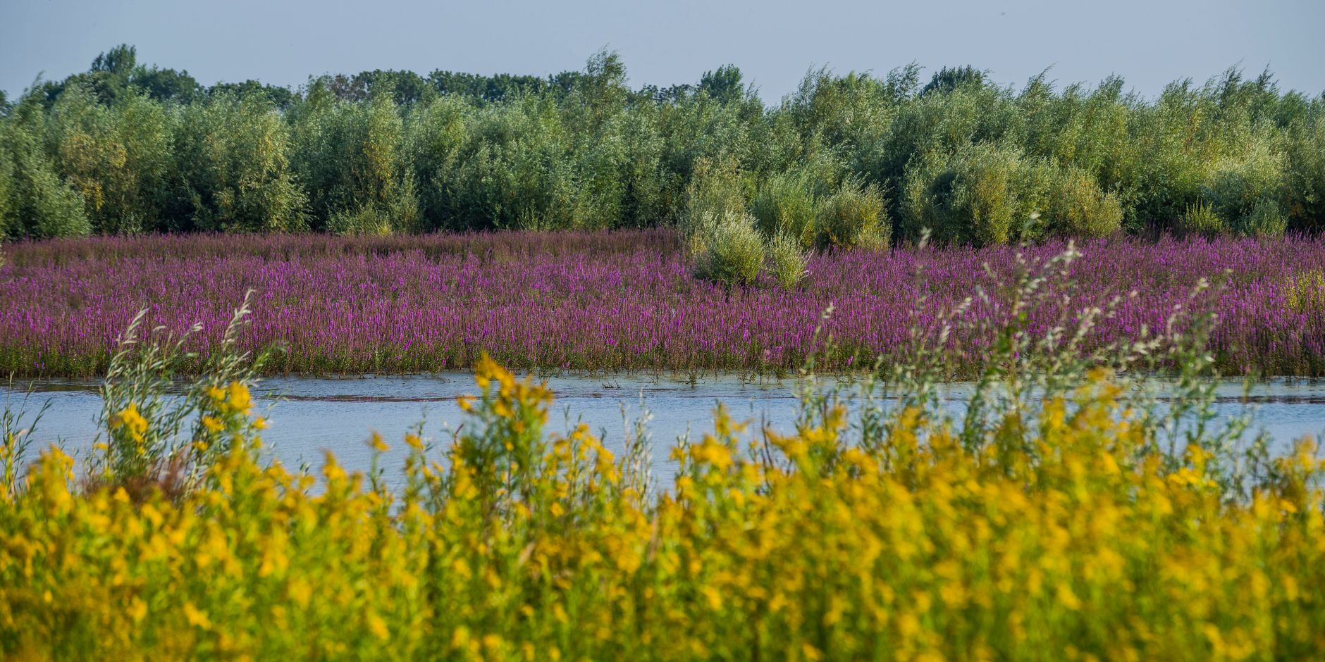 Landschap Tiengemeten 