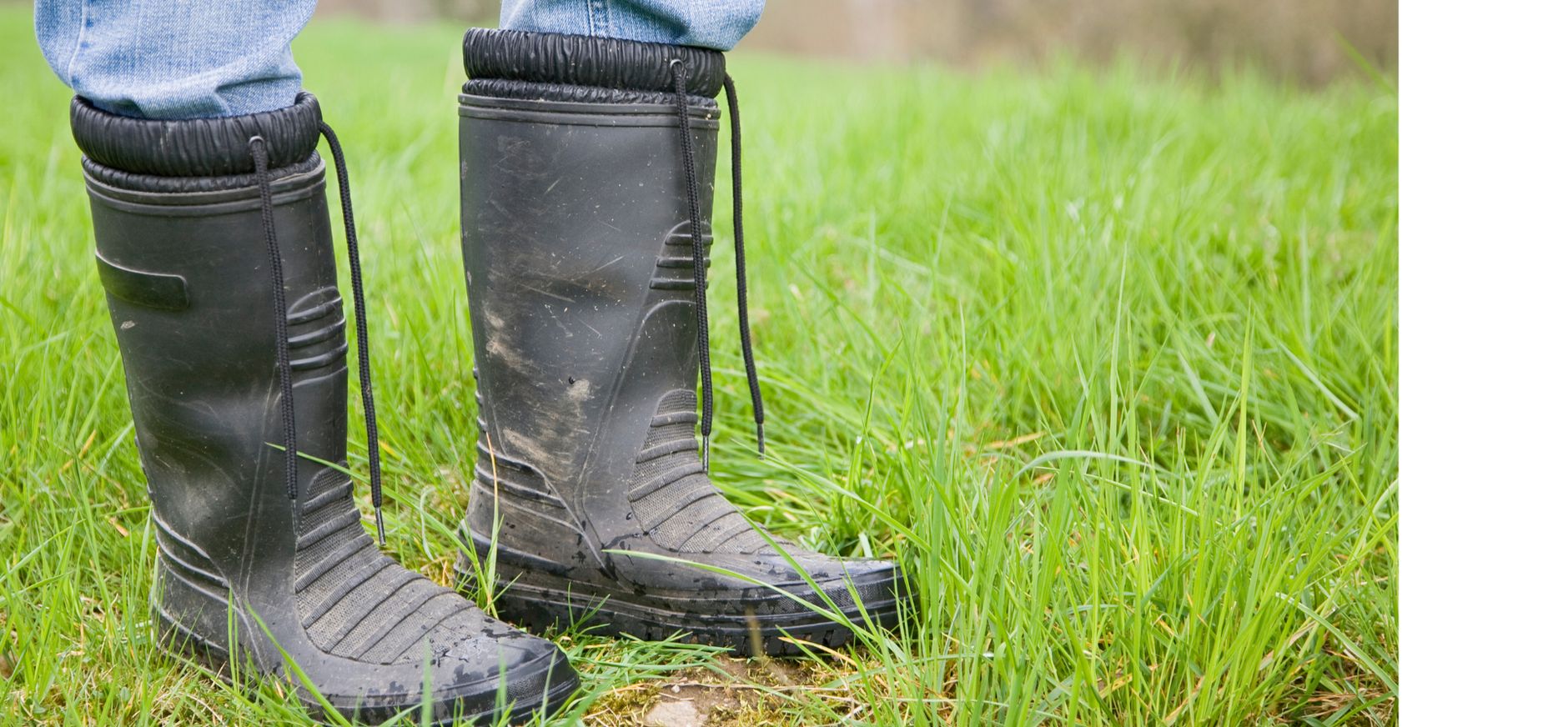 laarzen in het gras laarzen in het gras