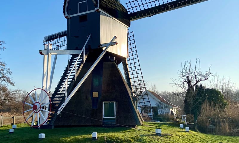 Molen Tienhovense plassen