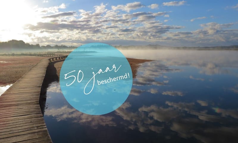 Vlonderpad Huis ter Heide