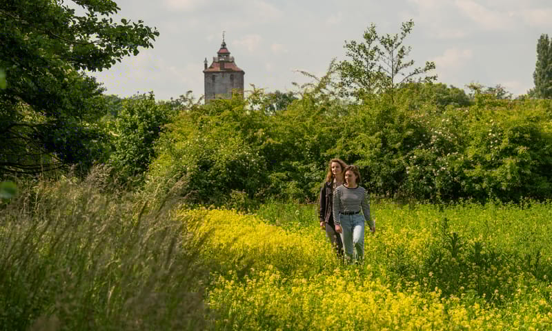 Wandelroute landgoed Haarzuilens vanaf NS station Vleuten