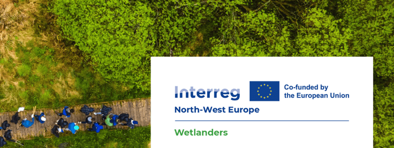 Wetlanders banner Wetlanders banner