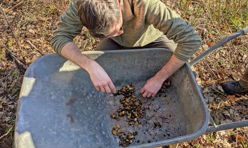 Controle slangeneieren Controle slangeneieren