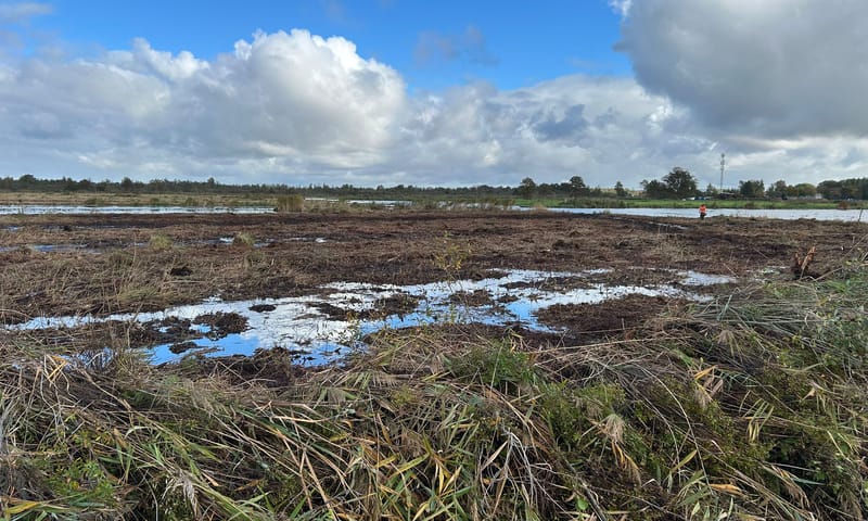 Open landschap in de Kortenhoefse Plassen
