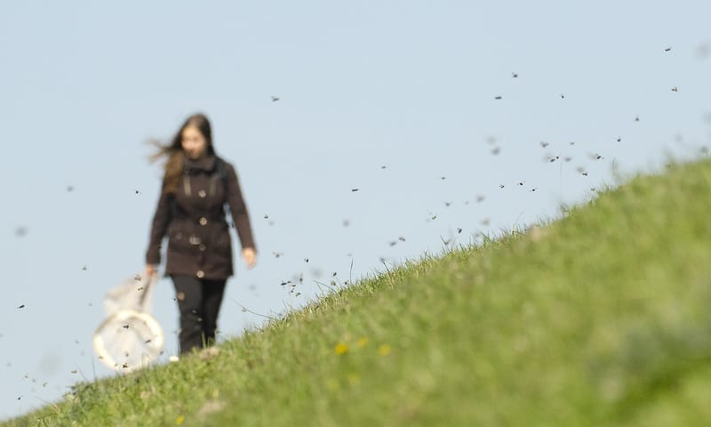 Linde Slikboer op de dijk