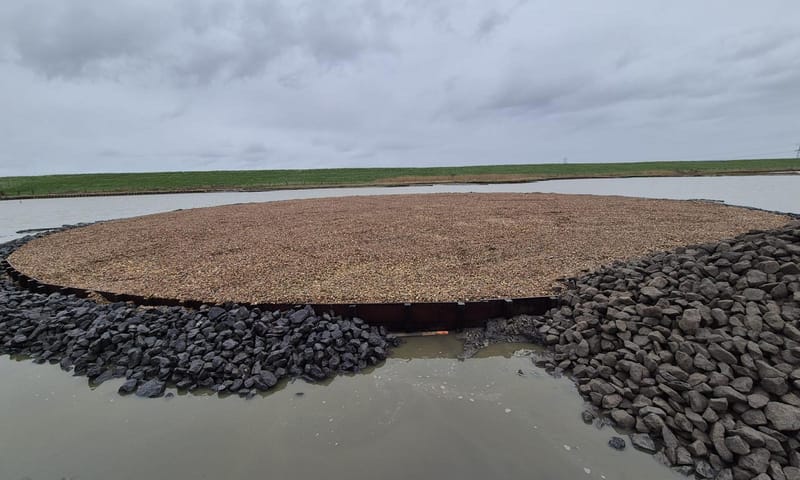 broedeiland