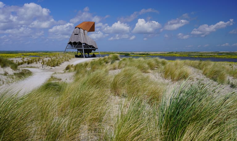 Marker Wadden duinen en uitkijktoren