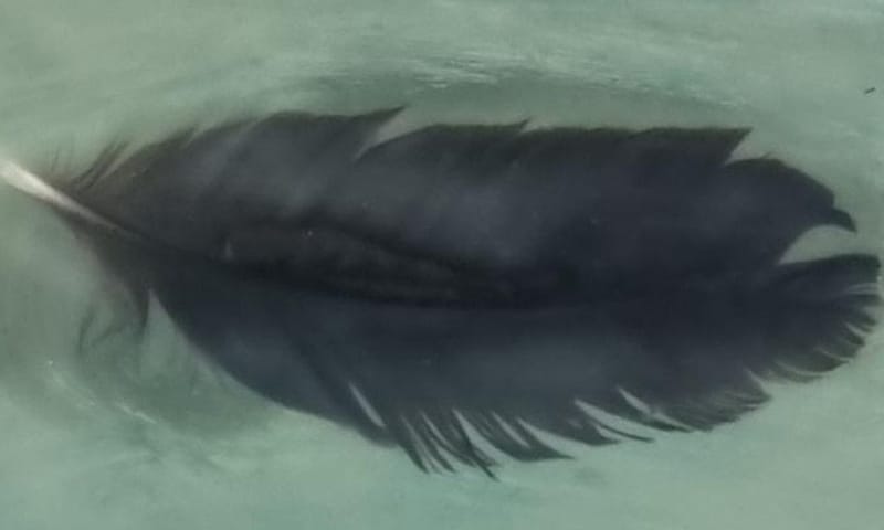 k v