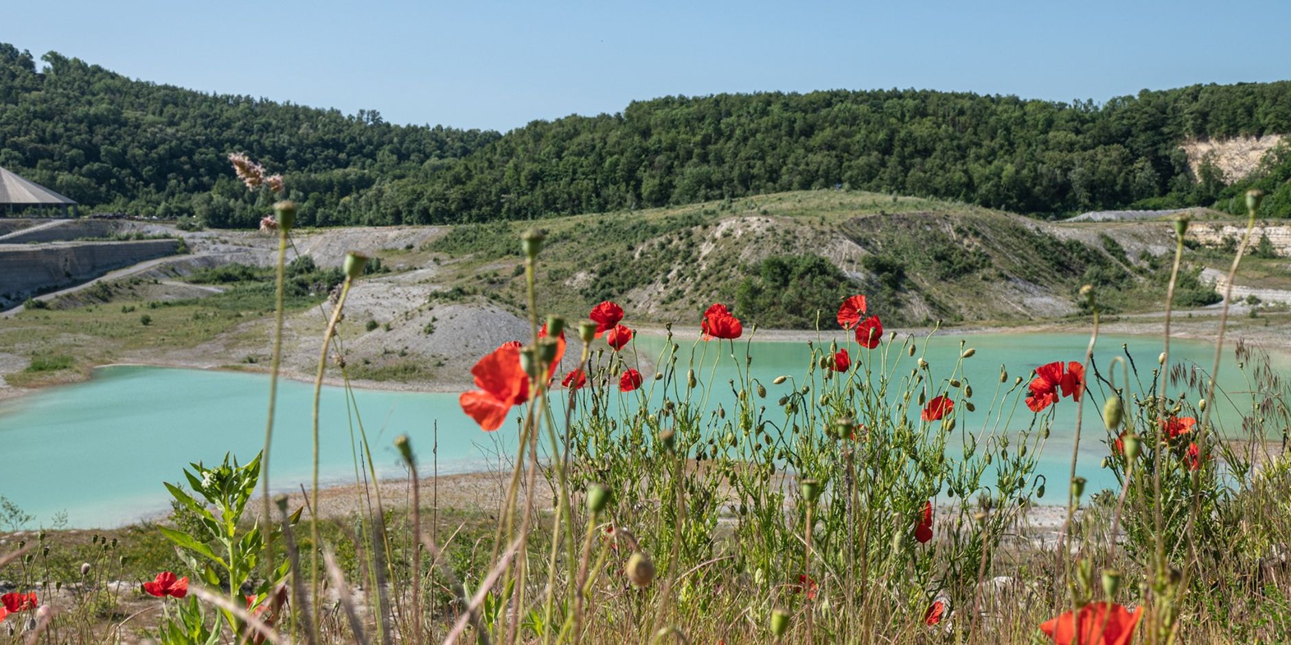 Excursie ENCI groeve