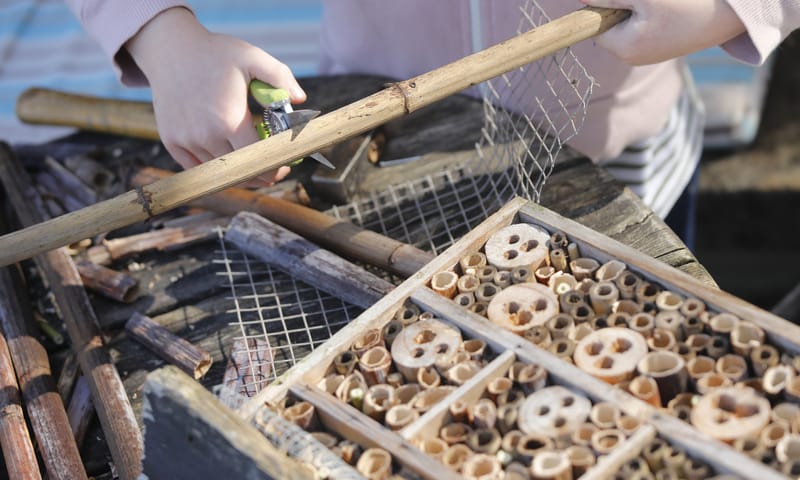 Insectenhotel maken