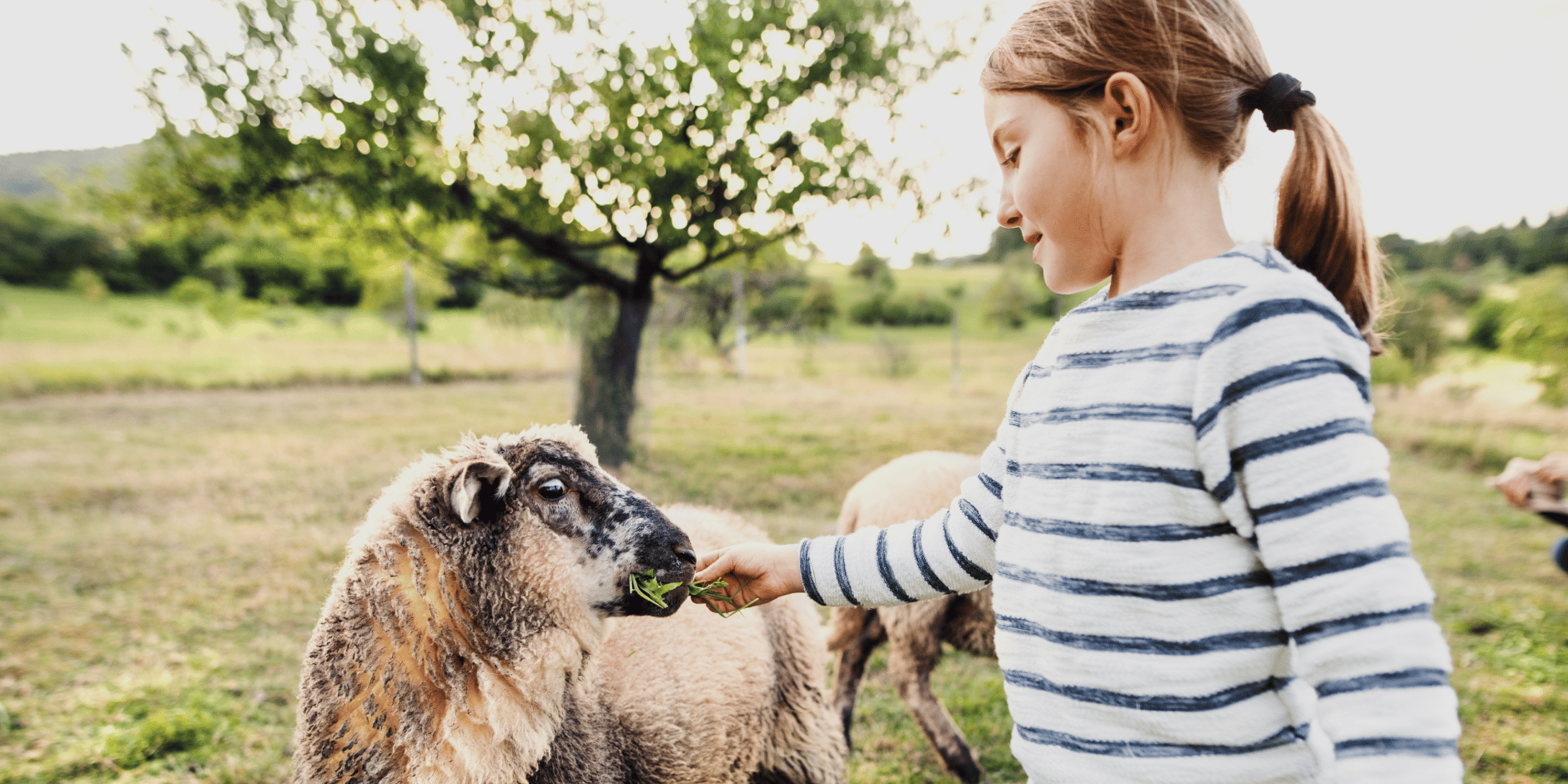 Download het gezinsrouteboekje