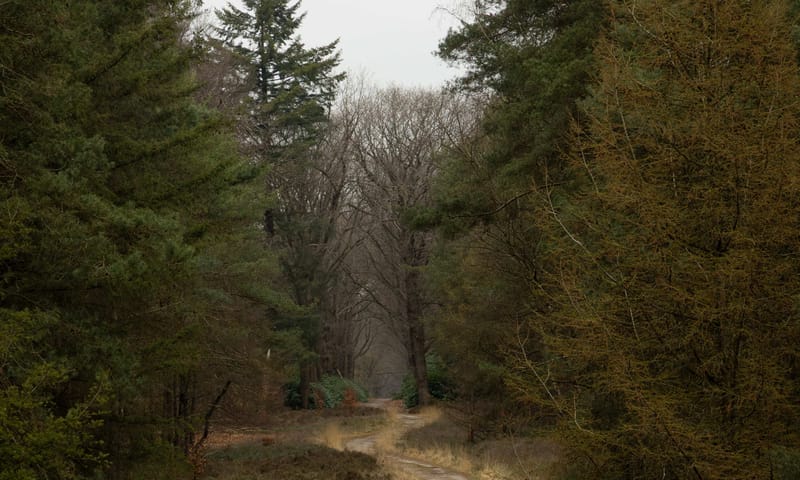 Sprengenberg Sprengenberg