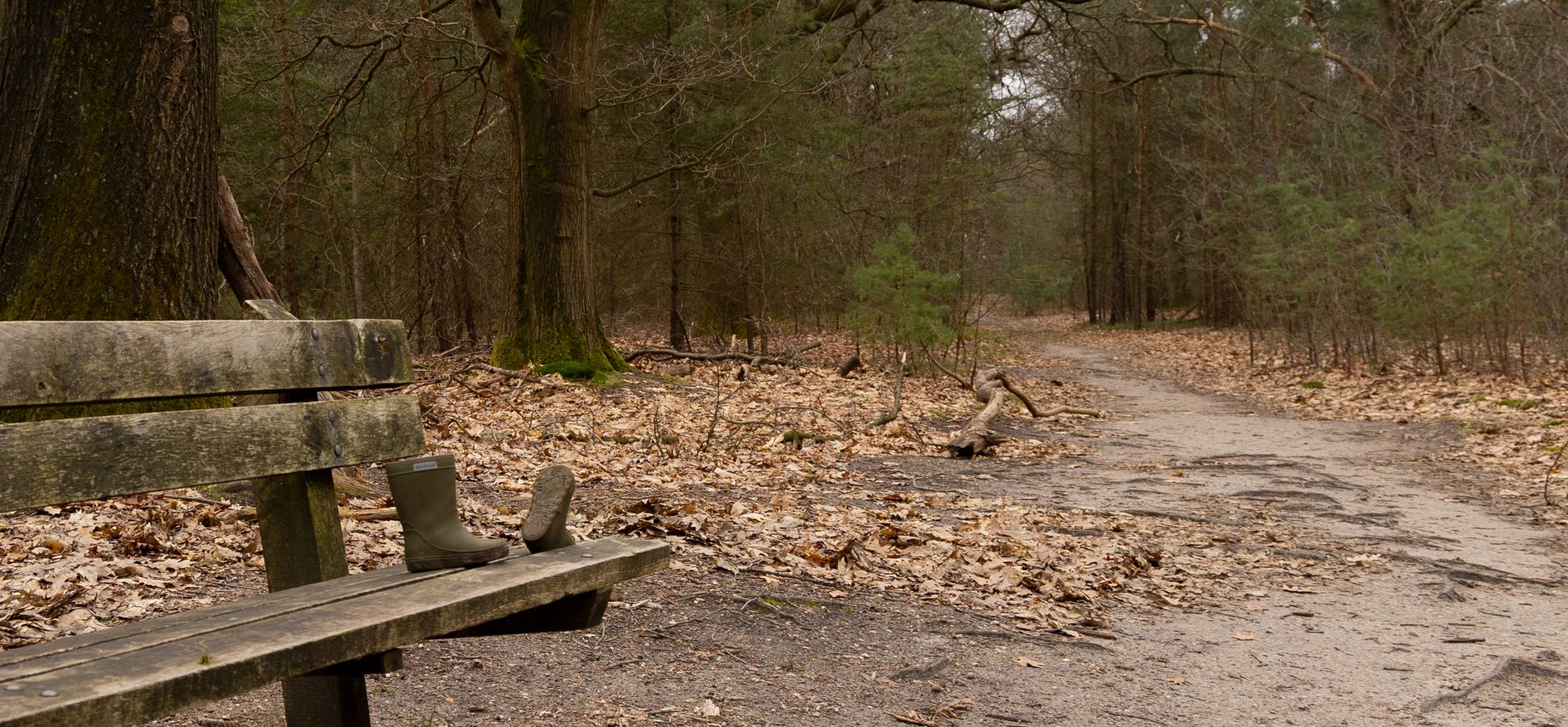 Sprengenberg Sprengenberg