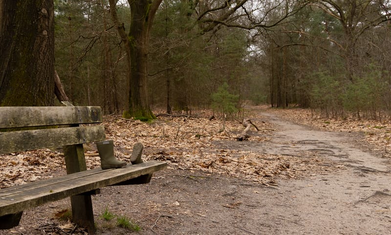 Regenlaarsjes op een bank in plaats van glazen muiltjes. Regenlaarsjes op een bank