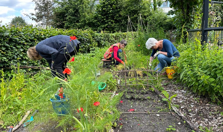 Mensen aan het werk in een tuin, met wat klaprozen