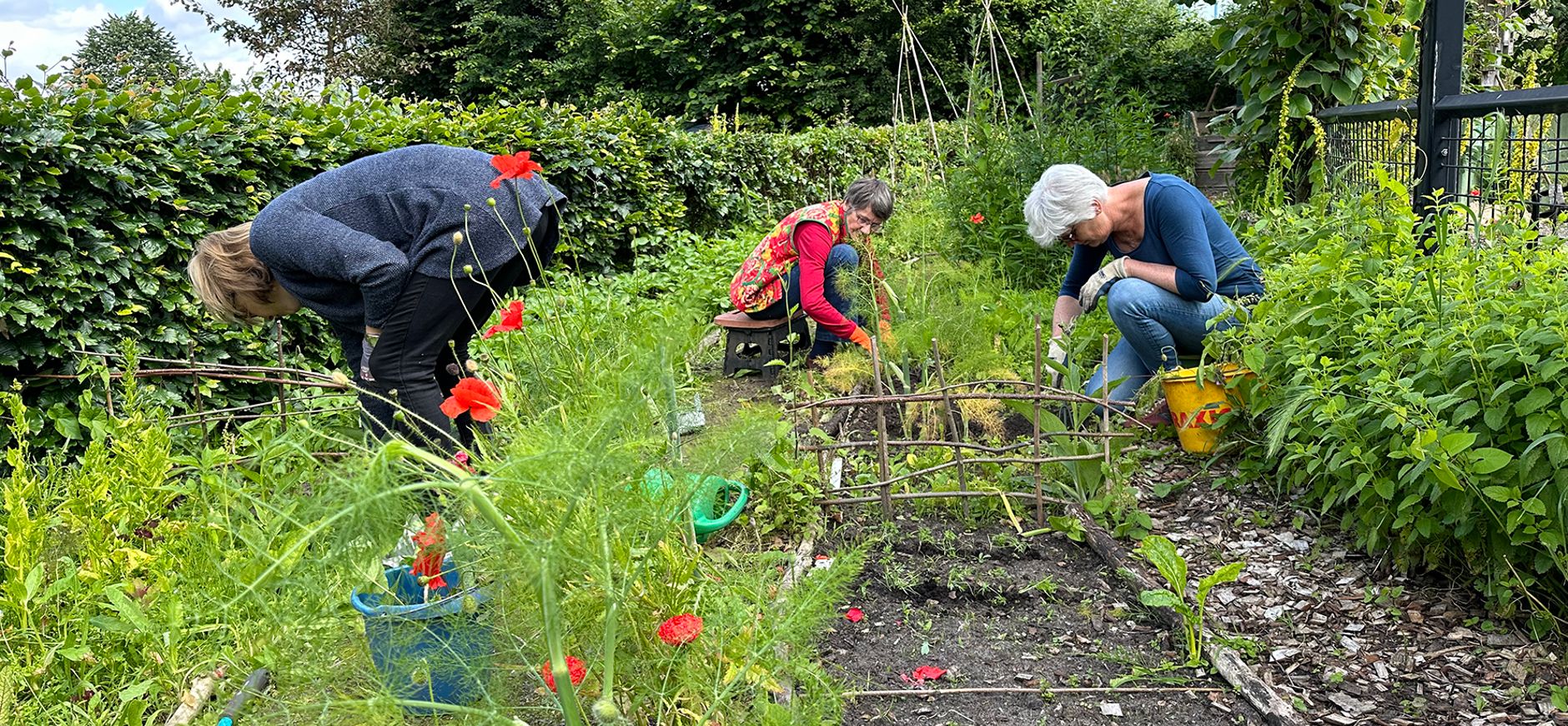 Mensen aan het werk in een tuin, met wat klaprozen