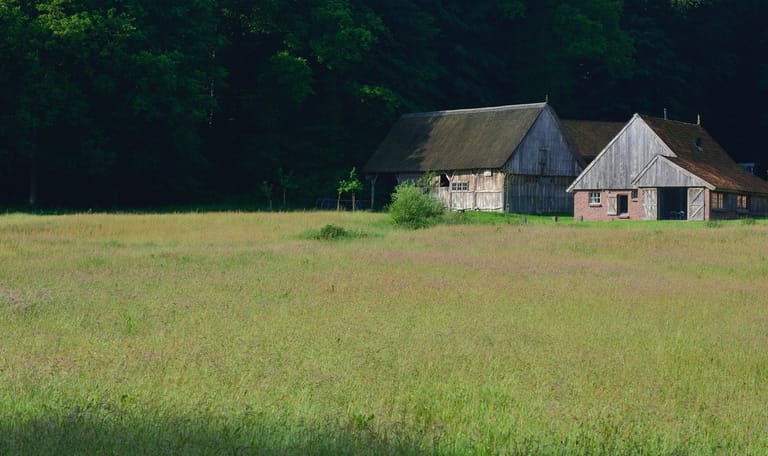 Twente