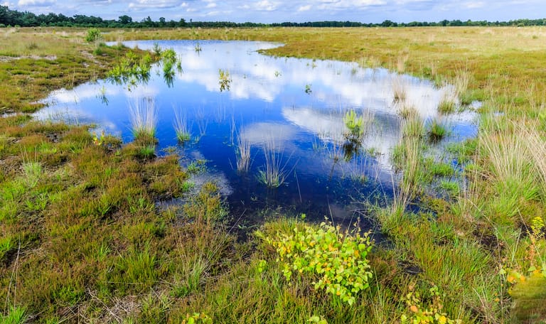 Landschap Brabant Vennetje