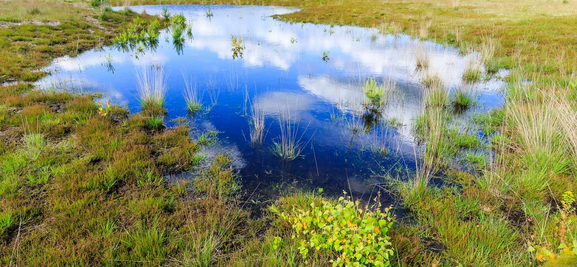 Landschap Brabant Vennetje