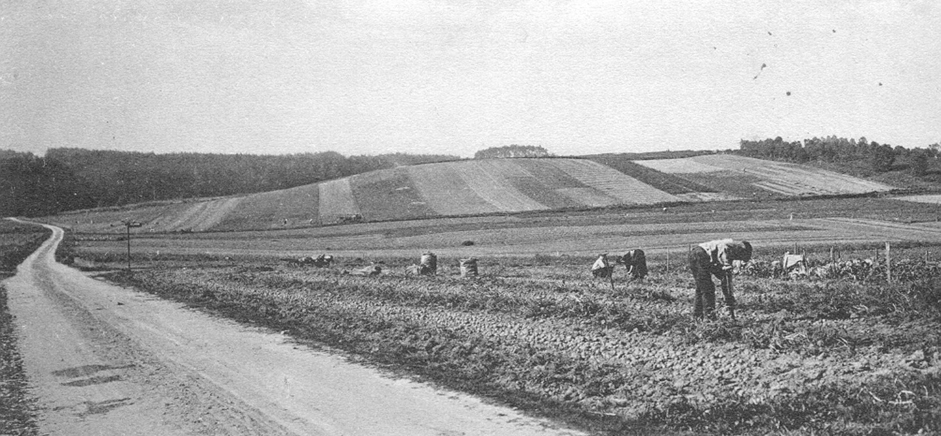 Lappendeken Lappendeken