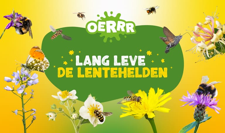 Afbeelding van verschillende bloemen en insecten met in het midden de tekst Lang leve de lentehelden