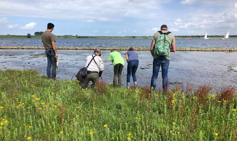 Veerse Meer excursie