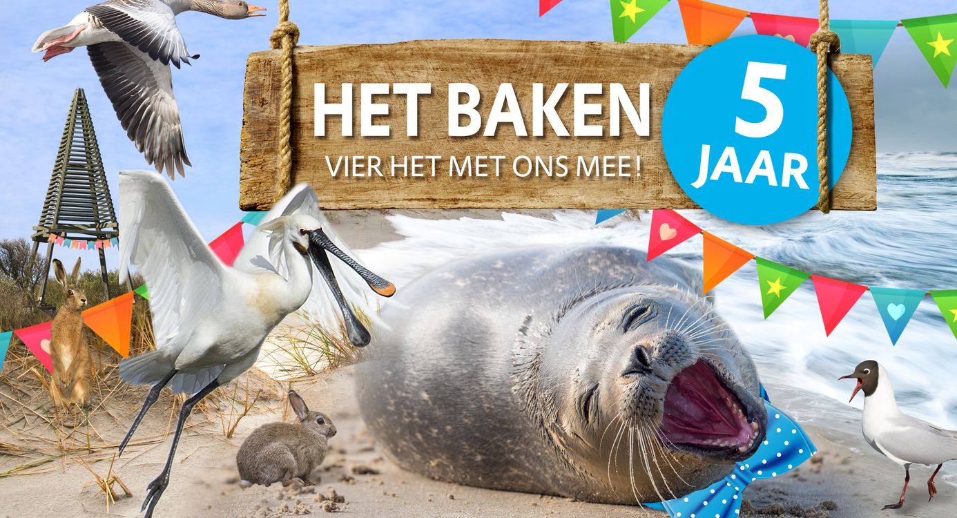 5 jaar Het Baken, vier het met ons mee