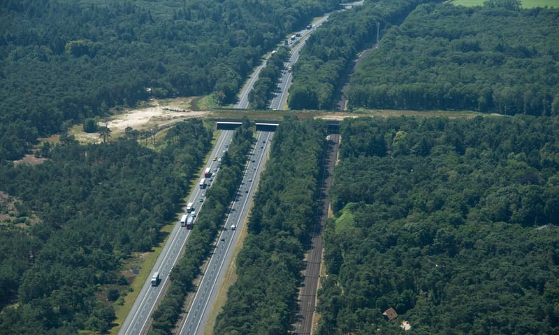 Natuurbrug over de N261