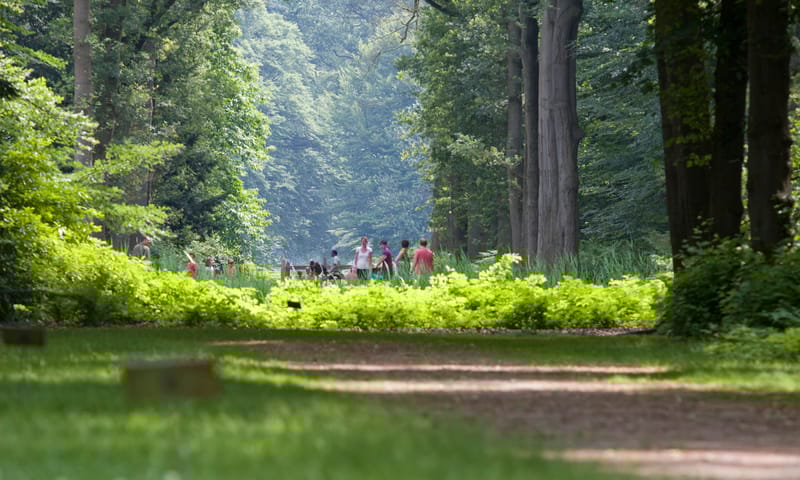 Festina Lente gezinnen Boekesteyn