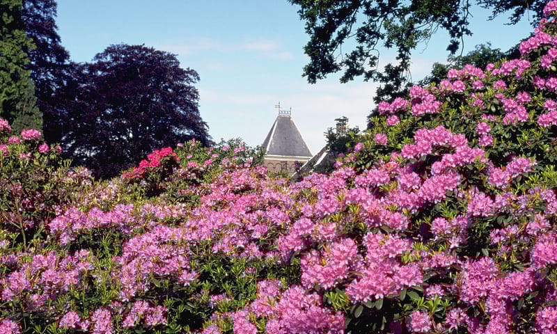 Lente Festina Boekesteyn