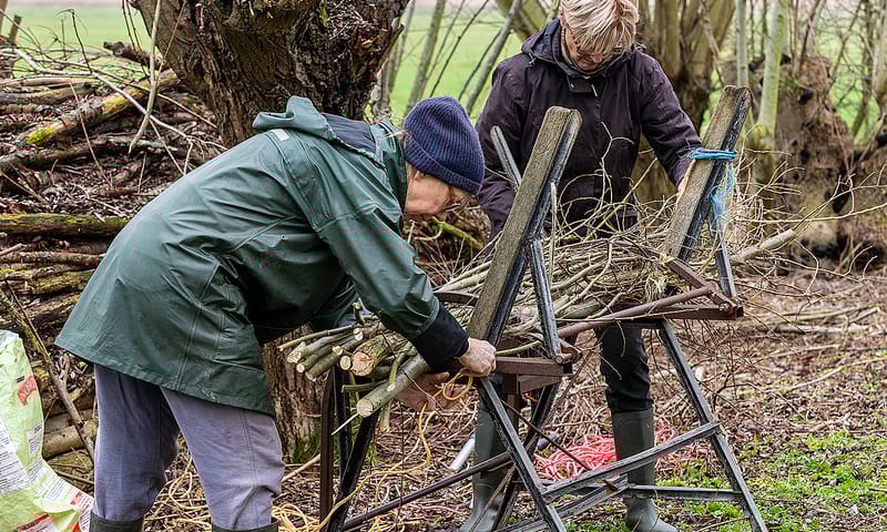 Vrijwilligers aan het werk in noordrand Rotterdam