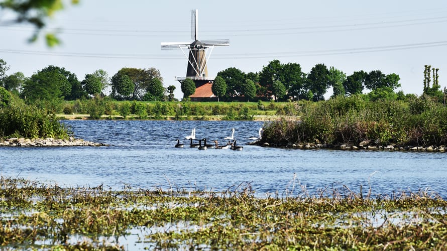 Rondje Molenplas bij Stevensweert