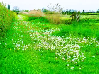 Landgoed Haarzuilens