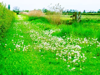 Landgoed Haarzuilens Landgoed Haarzuilens